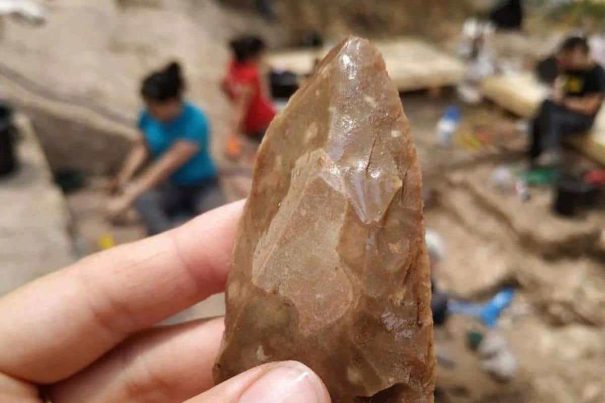 New Findings Reveal Neanderthals and Early Humans Shared More Than Space 