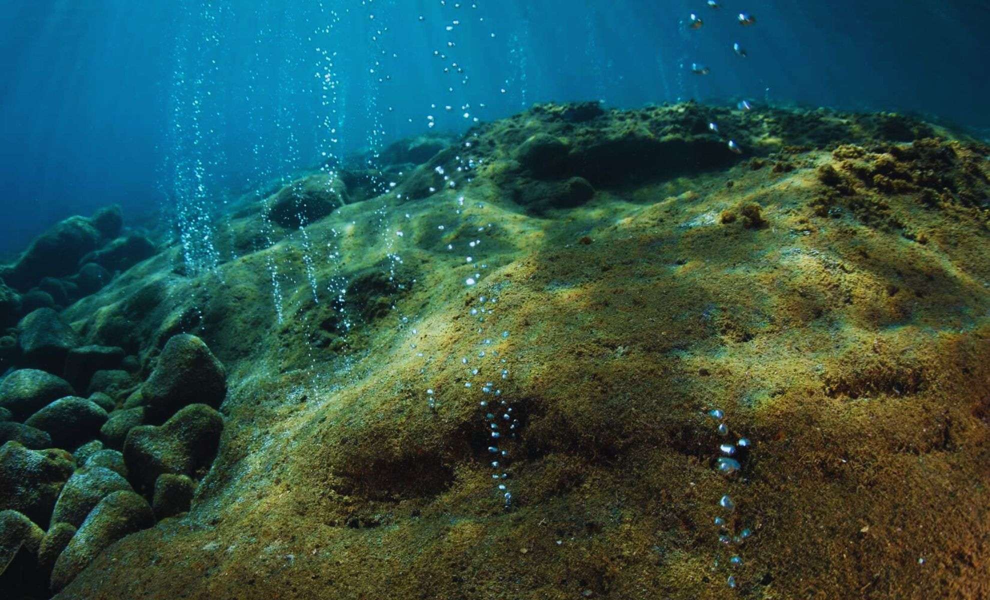 Thousands of Huge, Living Eggs Found in an Active Underwater Volcano Near Vancouver Island 