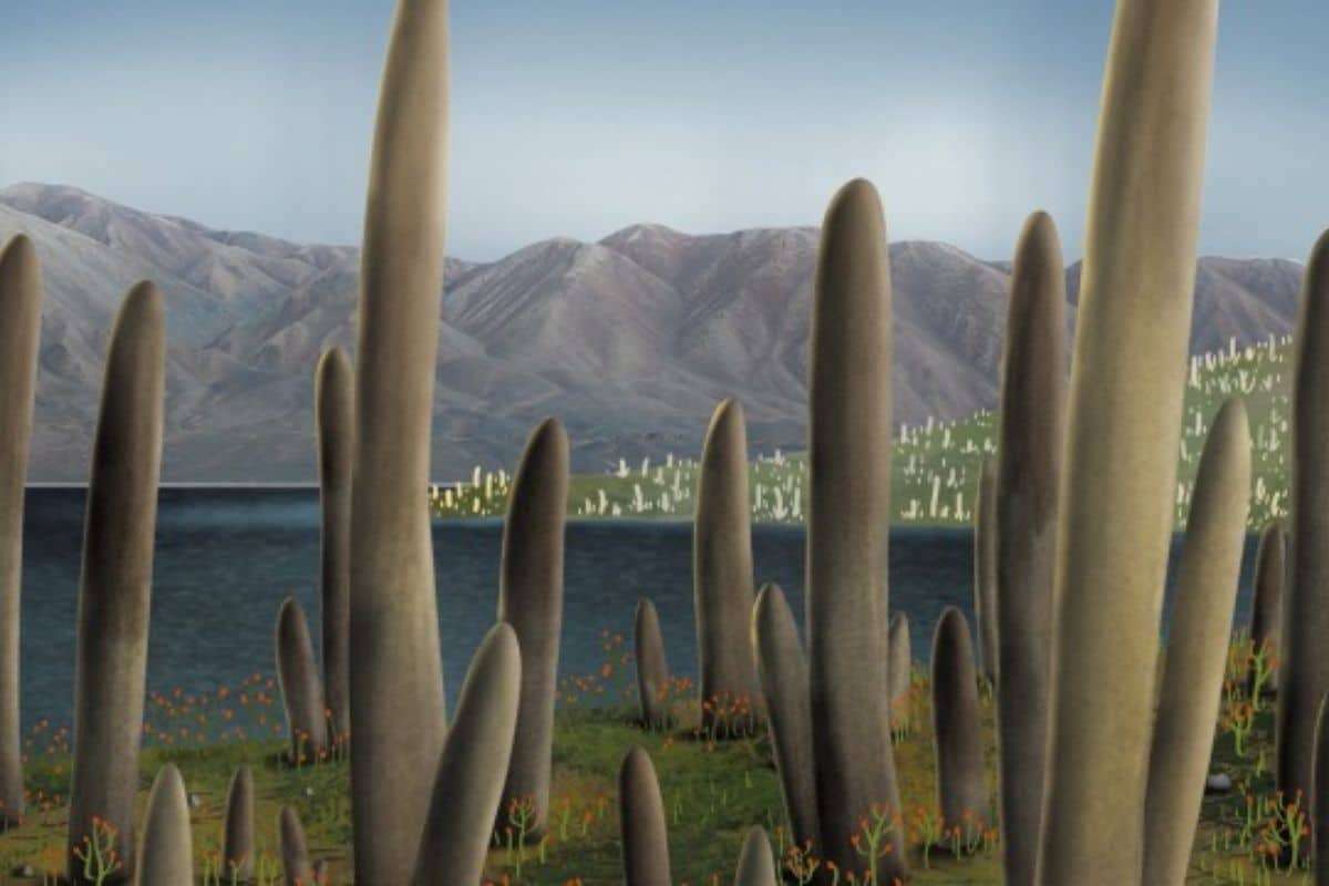 Ancient Fossil Challenges Known Life Categories—What Could It Be? 