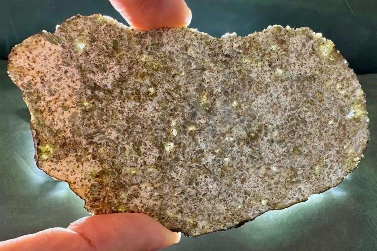 Uncovering a Meteorite That May Belong to a Forgotten World 