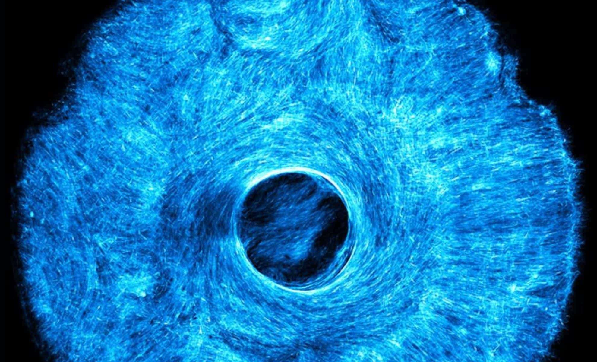 MIT Innovates Light-Controlled Soft Muscles Inspired by the Human Iris for Next-Gen Robotics 