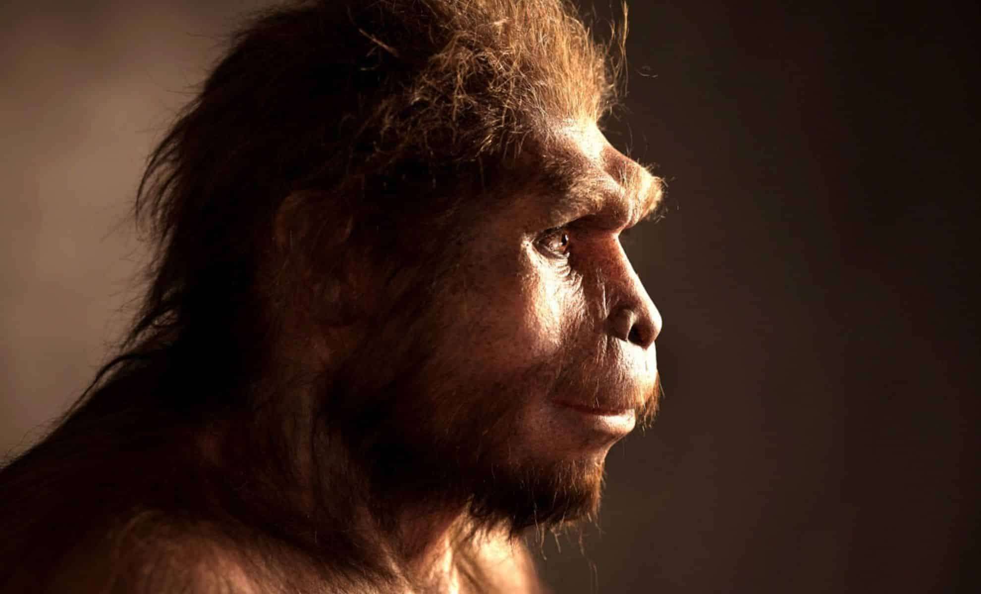 Ancient Ancestors Contributed 20% of Modern Human DNA, Revealing Complex Evolutionary Path 