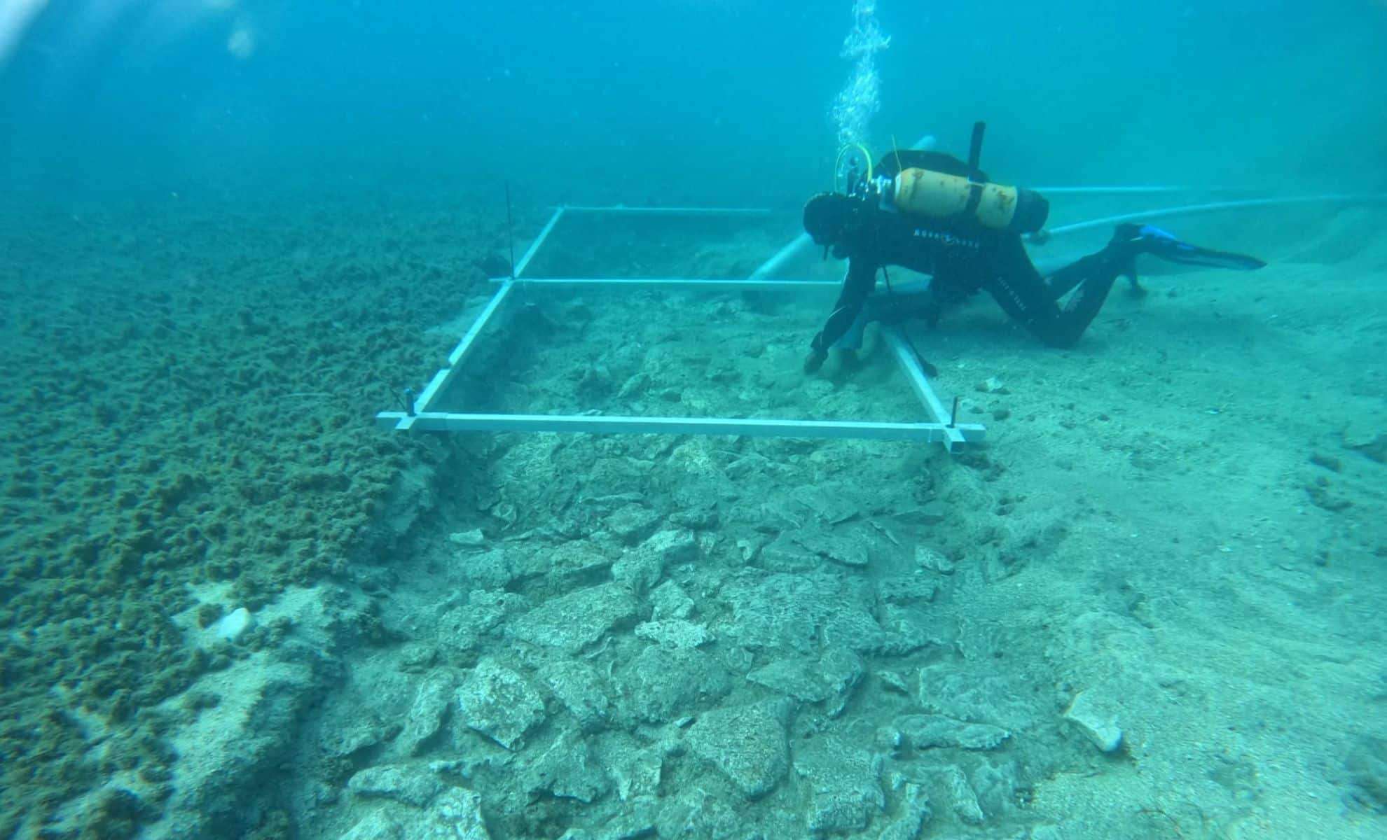 Ancient Submerged Road Reveals Early Civilization’s Ingenious Engineering in Mediterranean 