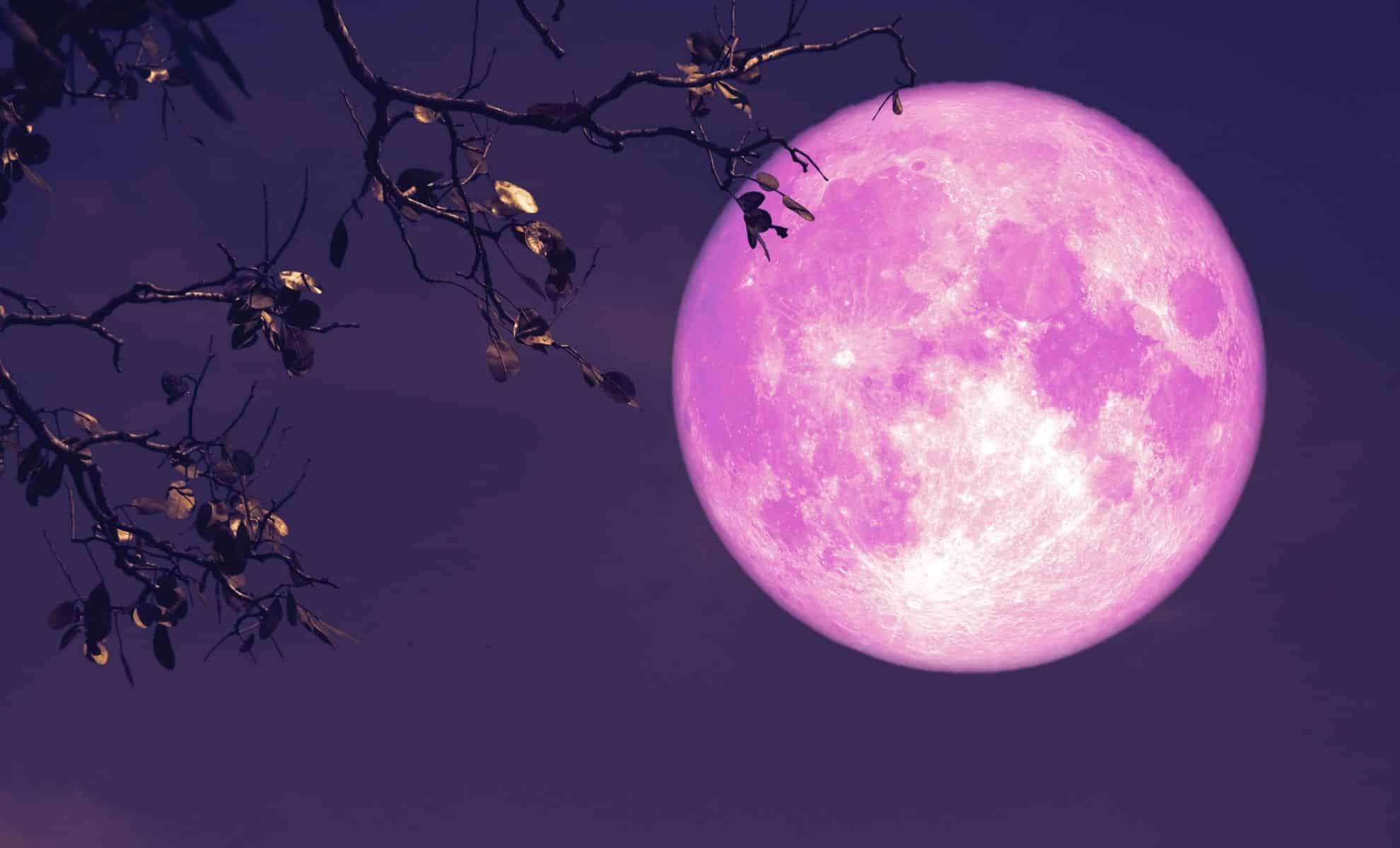 April’s Enchanting Full Pink Moon Illuminates the Night Sky Across America 