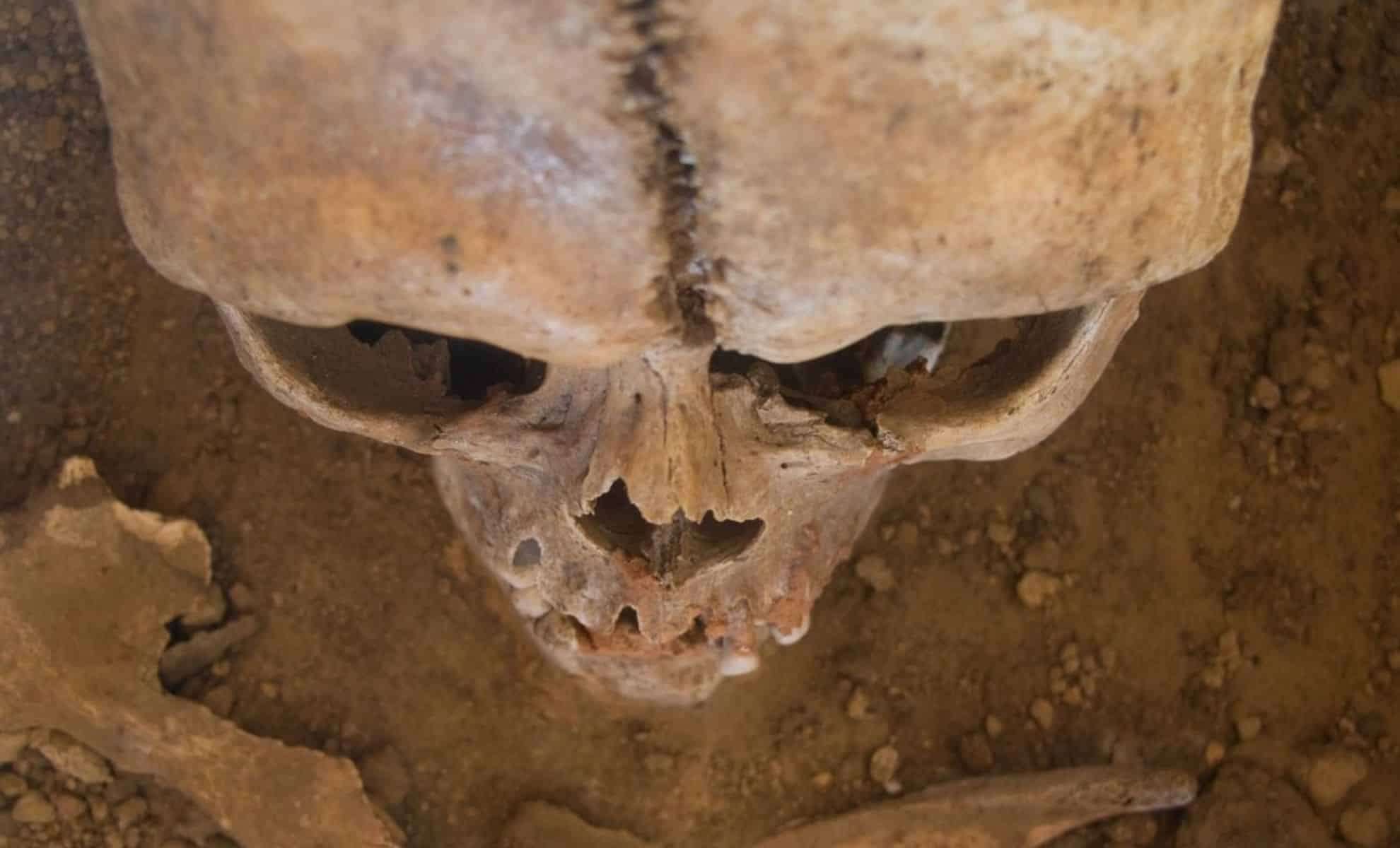 Excavations Beneath Department Stores Reveal 317 Human Skeletons in Europe 