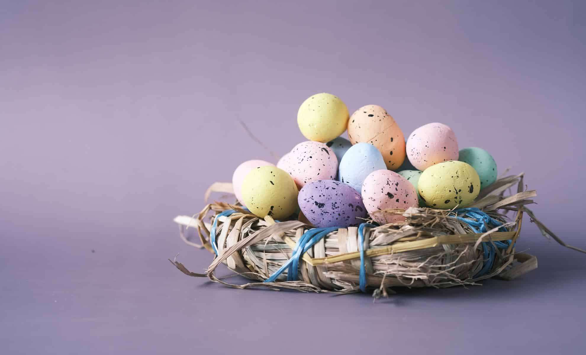 Ancient Duck Eggty Artifacts Unearthed in Ukraine Reveals Oldest Easter Egg 