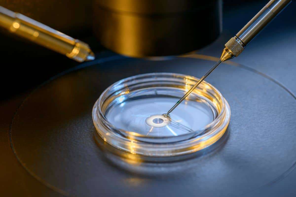 A Baby Born Using Robot-Driven IVF Marks a New Era with Some Limitations 
