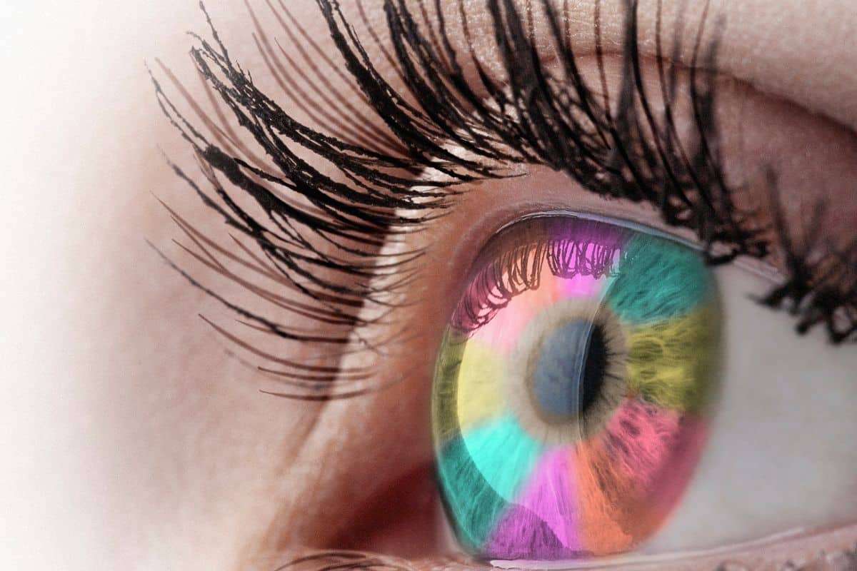 The Curious Case of Purple: A Color That Physically Doesn’t Exist 