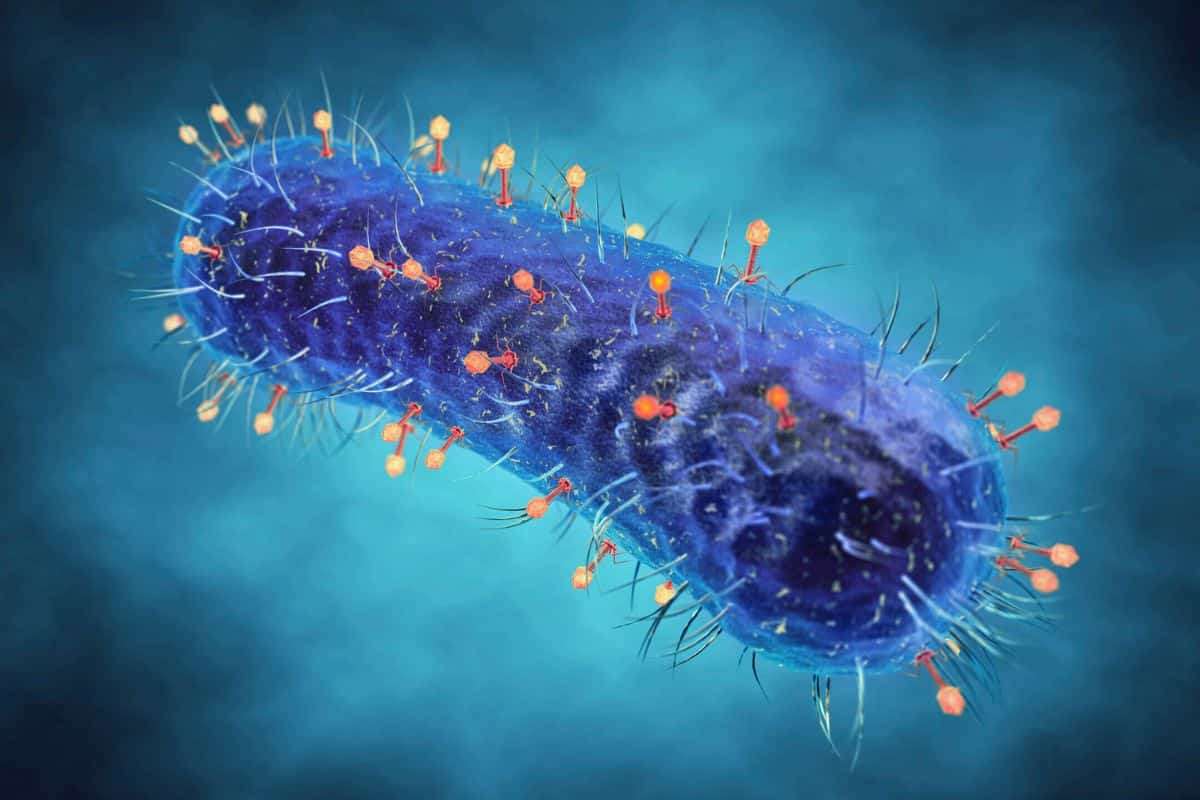 Bacteria May Have Started Using Oxygen Nearly a Billion Years Earlier Than Known 