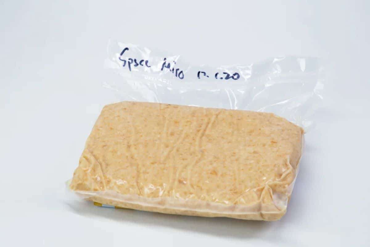 Groundbreaking Space Fermentation of Miso Unveils New Horizons for Cosmic Cuisine 