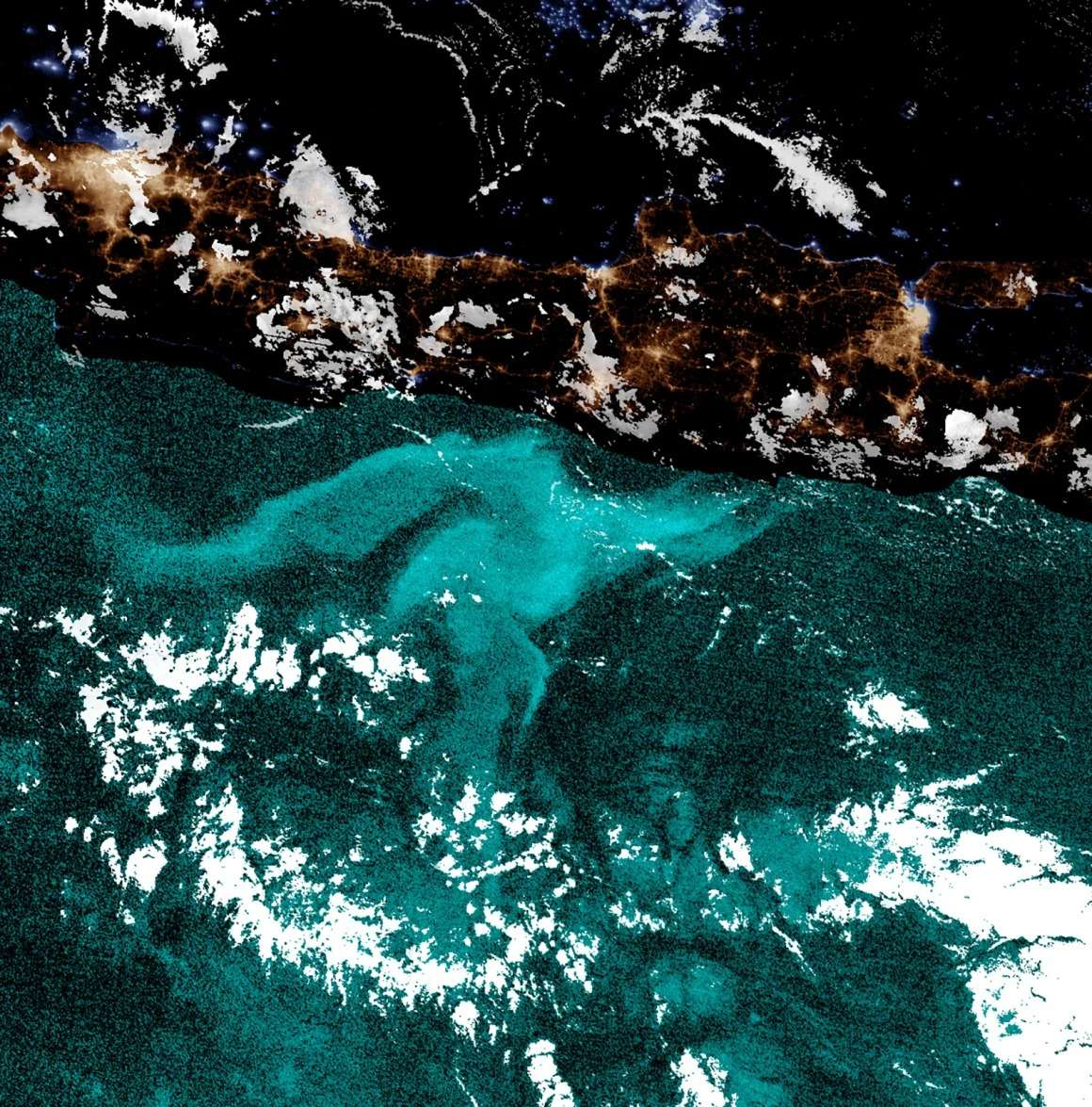 for-over-400-years-a-mysterious-ocean-glow-has-stumped-scientists-a-new-study-may-finally-hold-the-key-44adecdc776935d78d4d21fbf7621c7c.jpeg