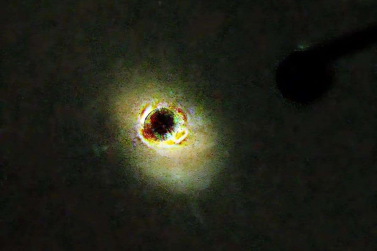 Hubble Reveals Intricate Features of the Massive Quasar 3C 273 