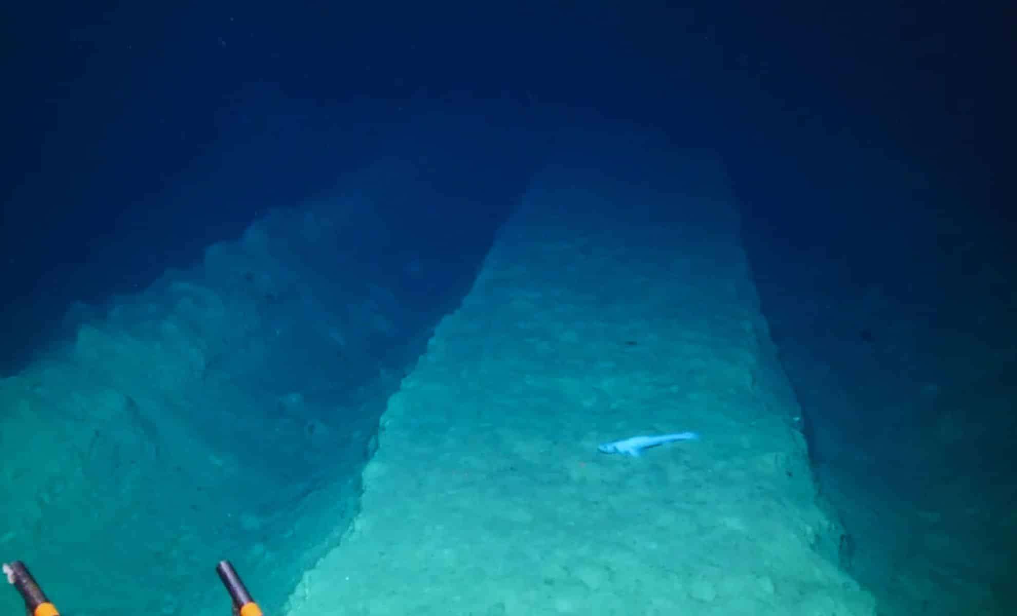 Nearly Half a Century Later: Unveiling the Enduring Effects of a 1979 Deep-Sea Mining Trial in the Pacific 