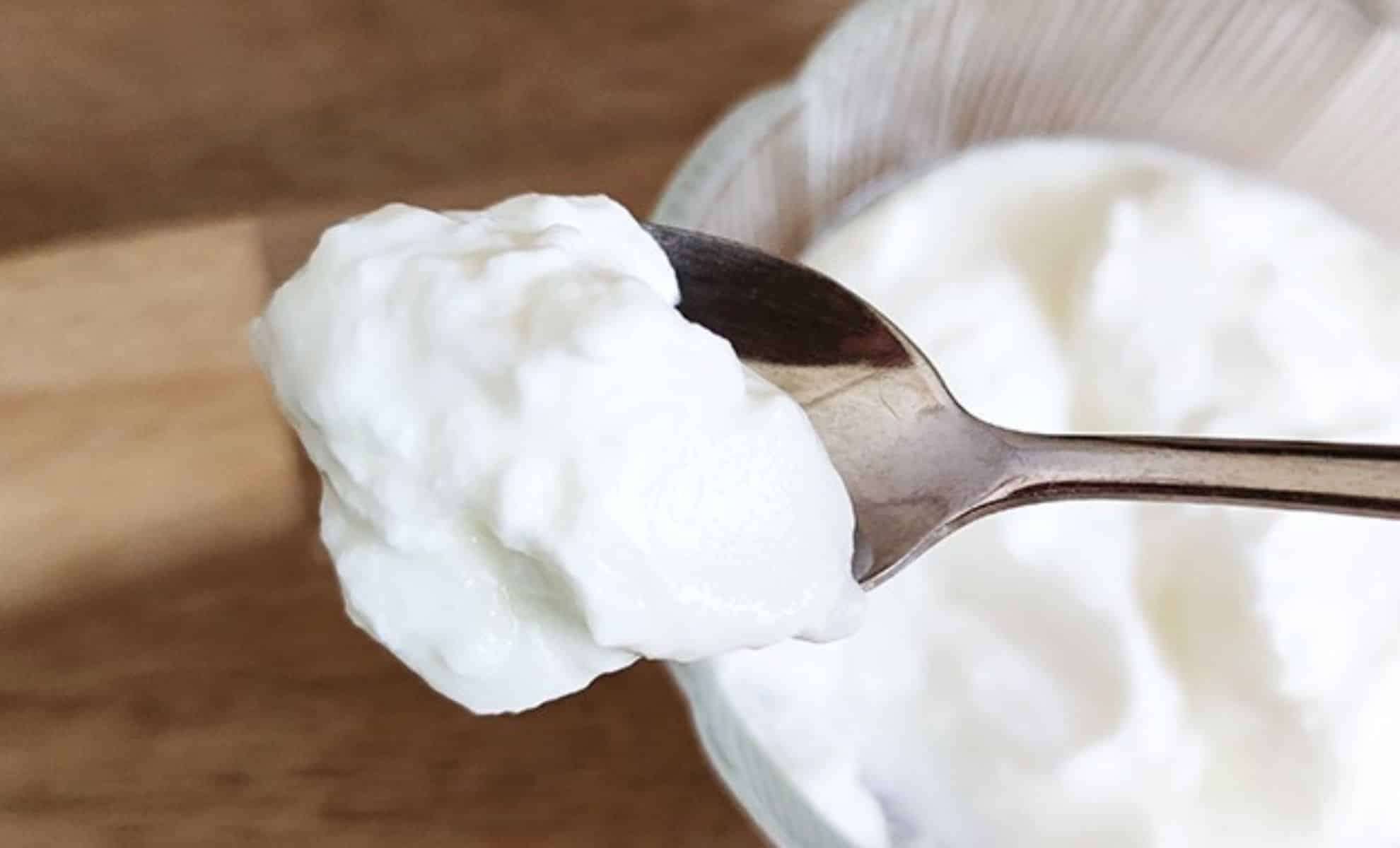Research Highlights Yogurt Habit Linked to 117-Year Longevity 