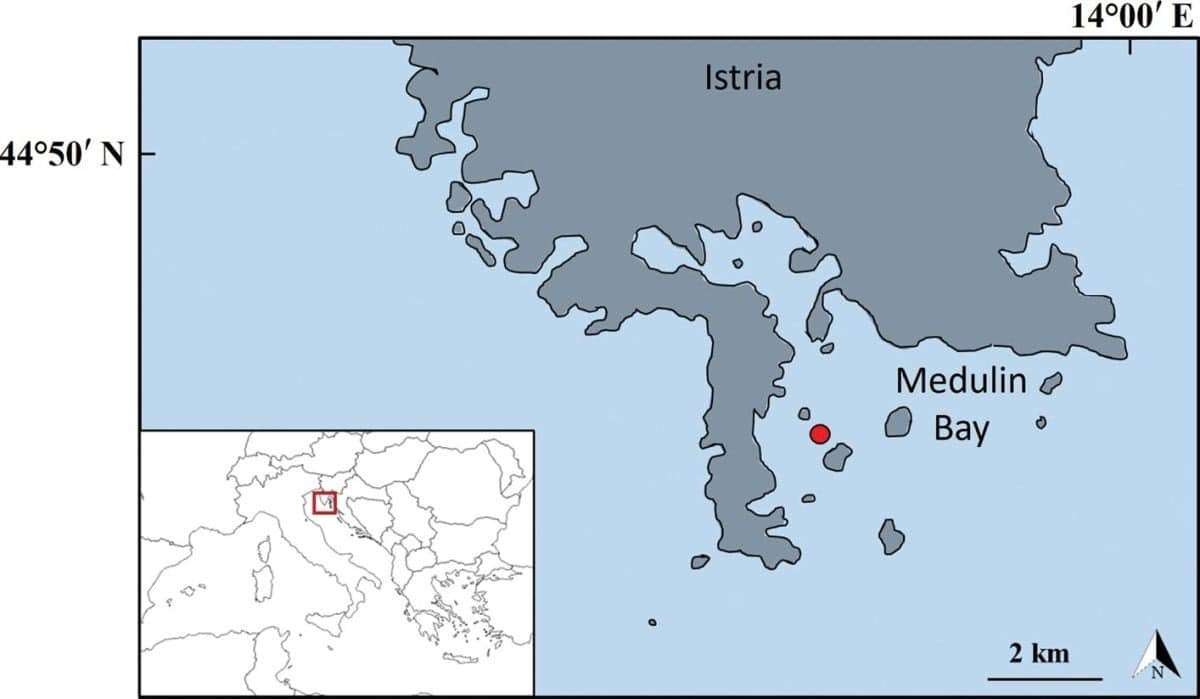 major-concern-grows-after-this-invasive-and-deadly-fish-species-is-spotted-in-the-mediterranean-sea-e9e726b5397ffc17d8304ea5ee54776c.jpeg