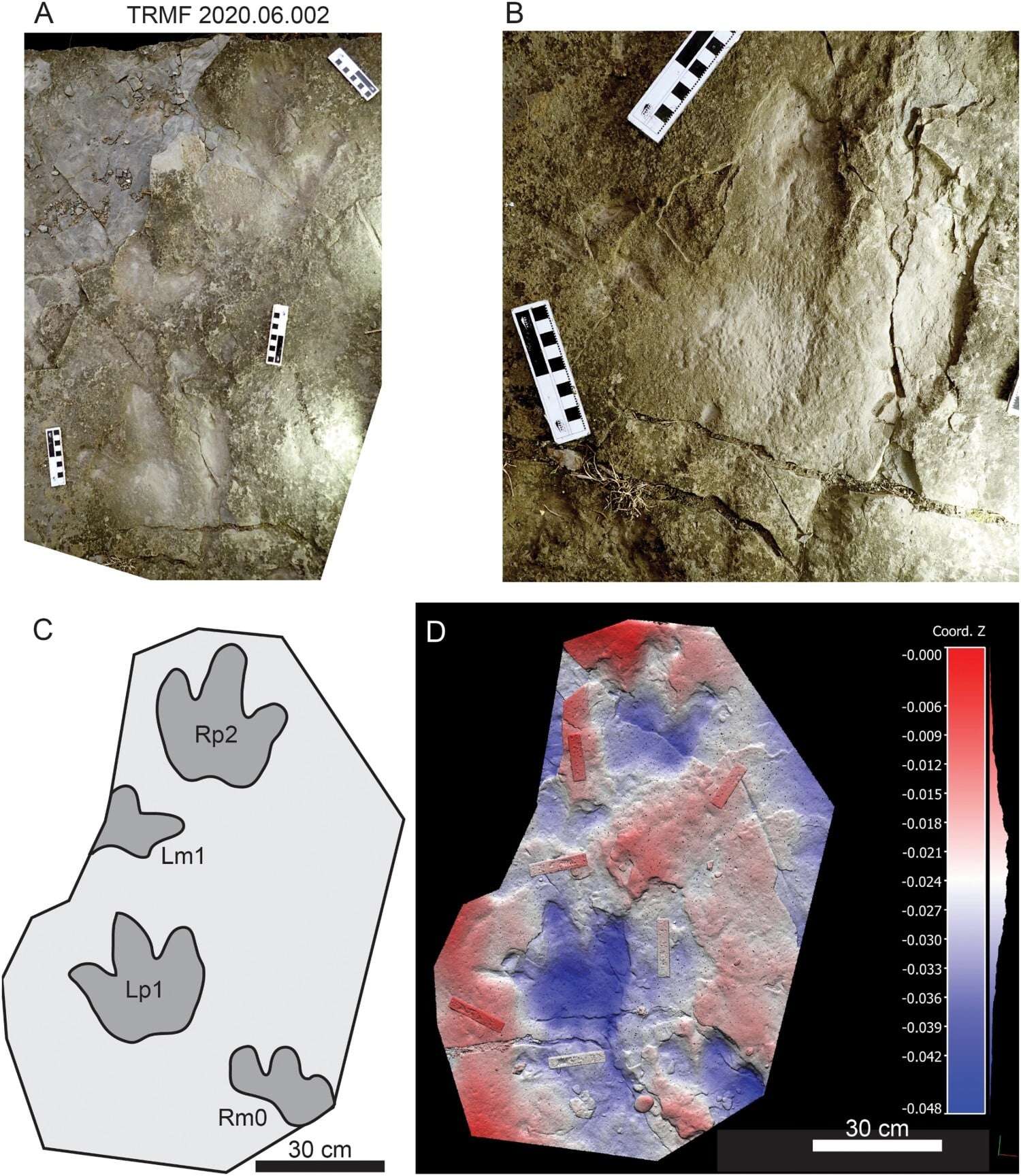 Journal-of-Vertebrate-Paleontology-f57ef009936b0558712337749310841d.jpg