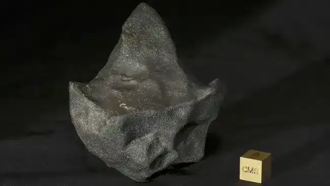 Decoding the Journey of Costa Rica’s Rare Water-Rich Meteorite 