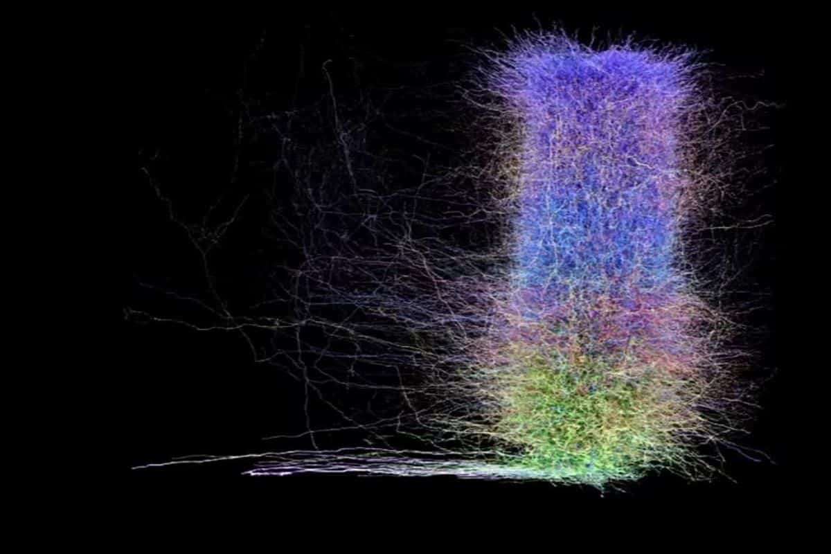 Revolutionary Mouse Brain Map Reveals Galactic-Level Neural Complexity 