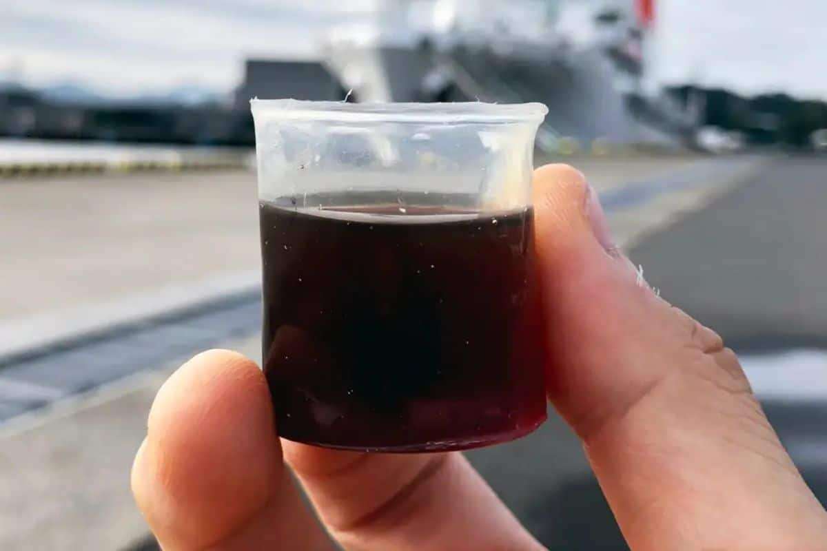 A-cup-made-from-transparent-paperboard-Noriyuki-Isobe-JAMSTEC-981f73d78ab70327212ce983fddfa755.jpg