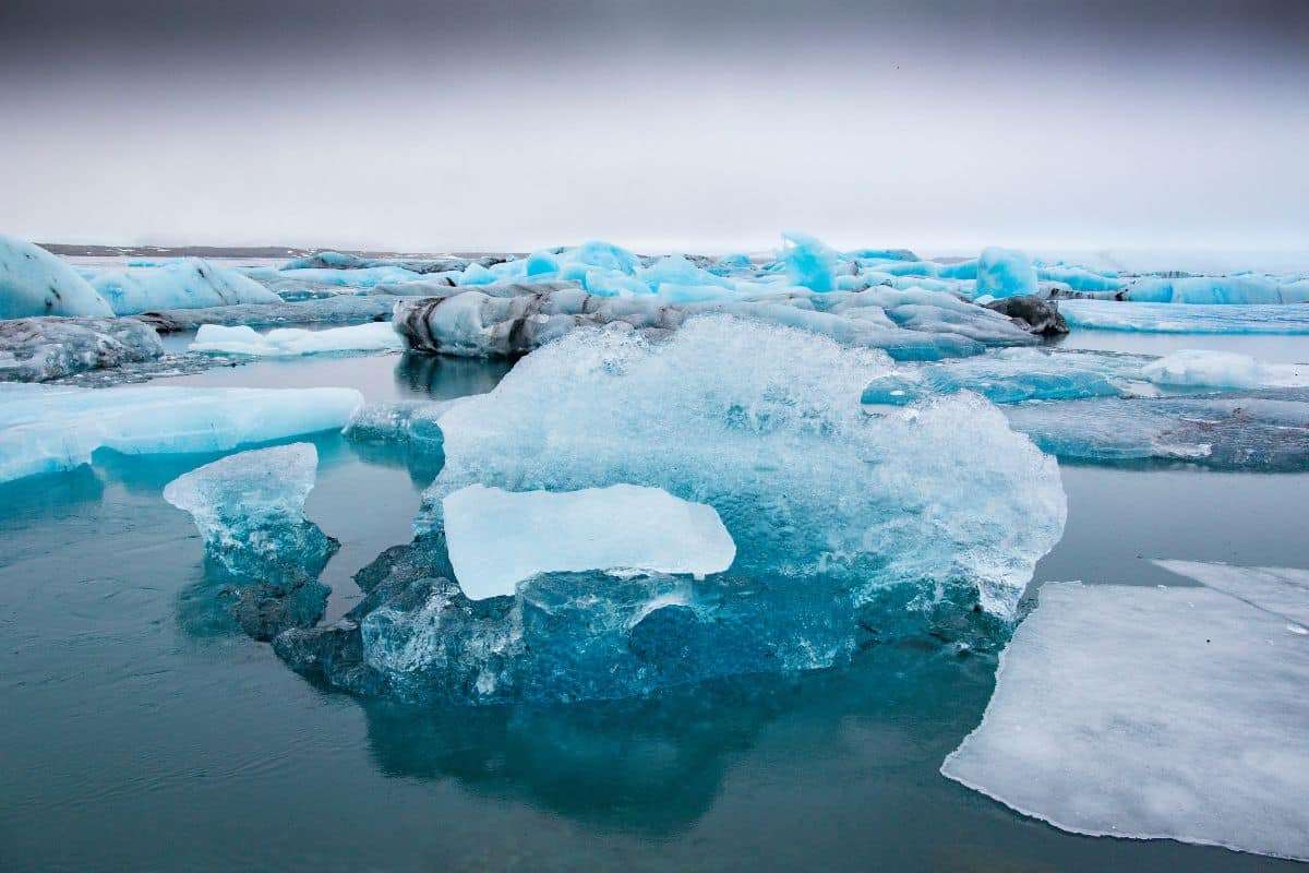 Why Every Glacier Has a Unique Carbon Signature 