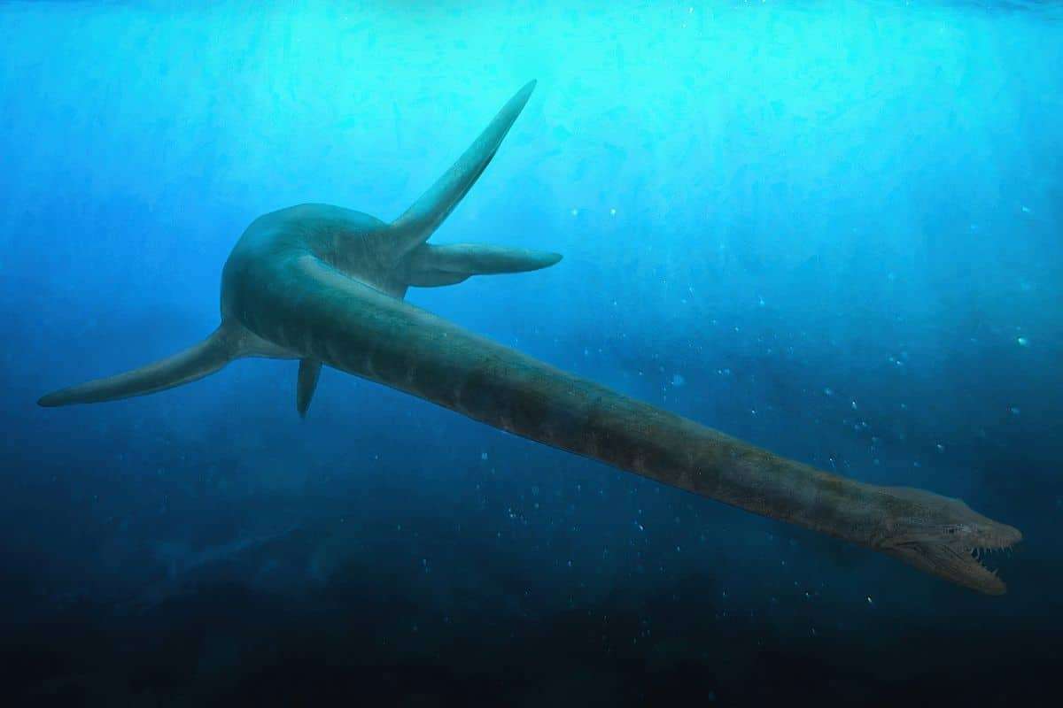 Newly Found 180-Million-Year-Old Fossil Illuminates Early Plesiosaur Evolution 