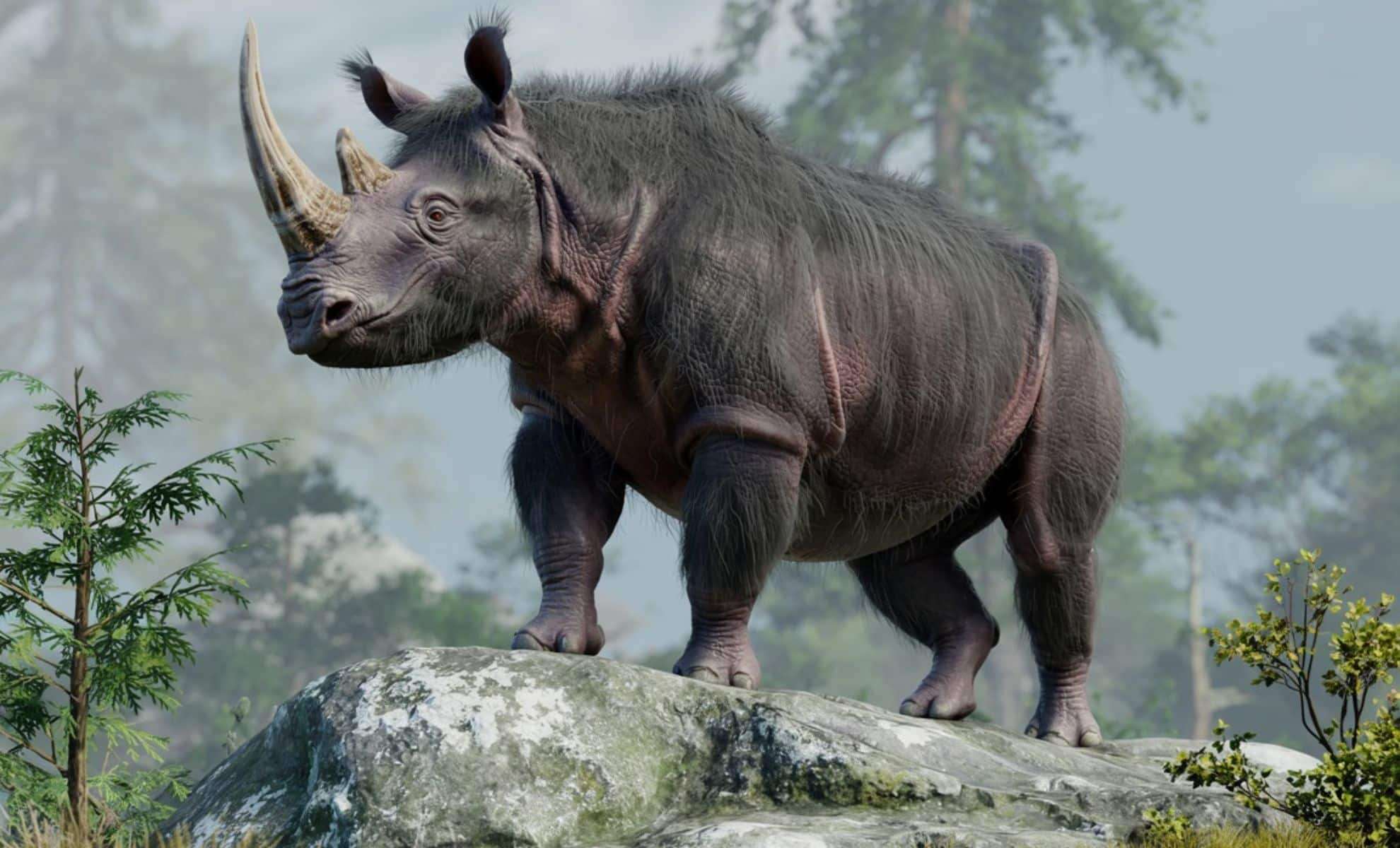 Massive Rhinoceros Gathering Revealed by Ancient Supervolcano Ashfall 