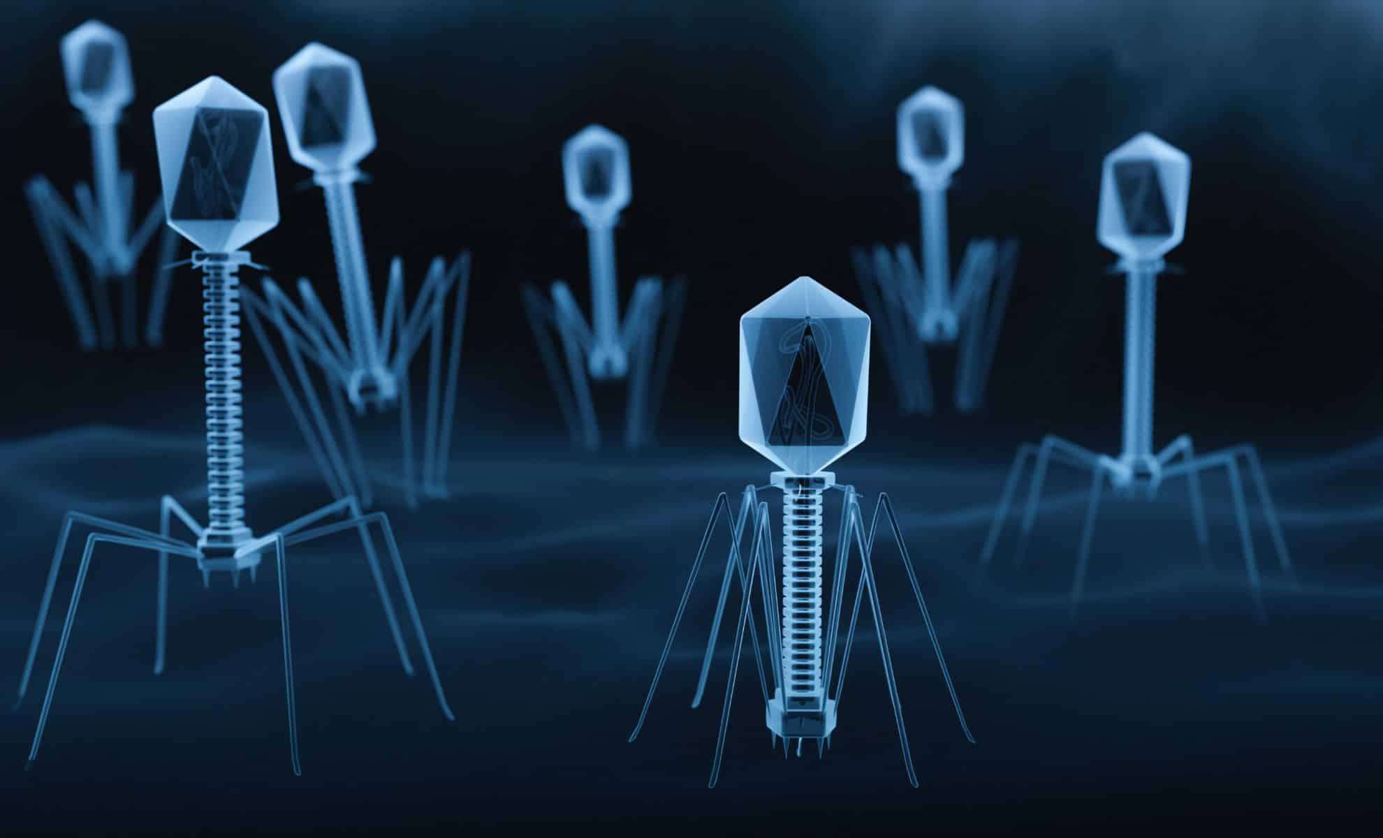 Finnish Researchers Unveil Jyvaskylavirus, a Massive New Soil Virus 