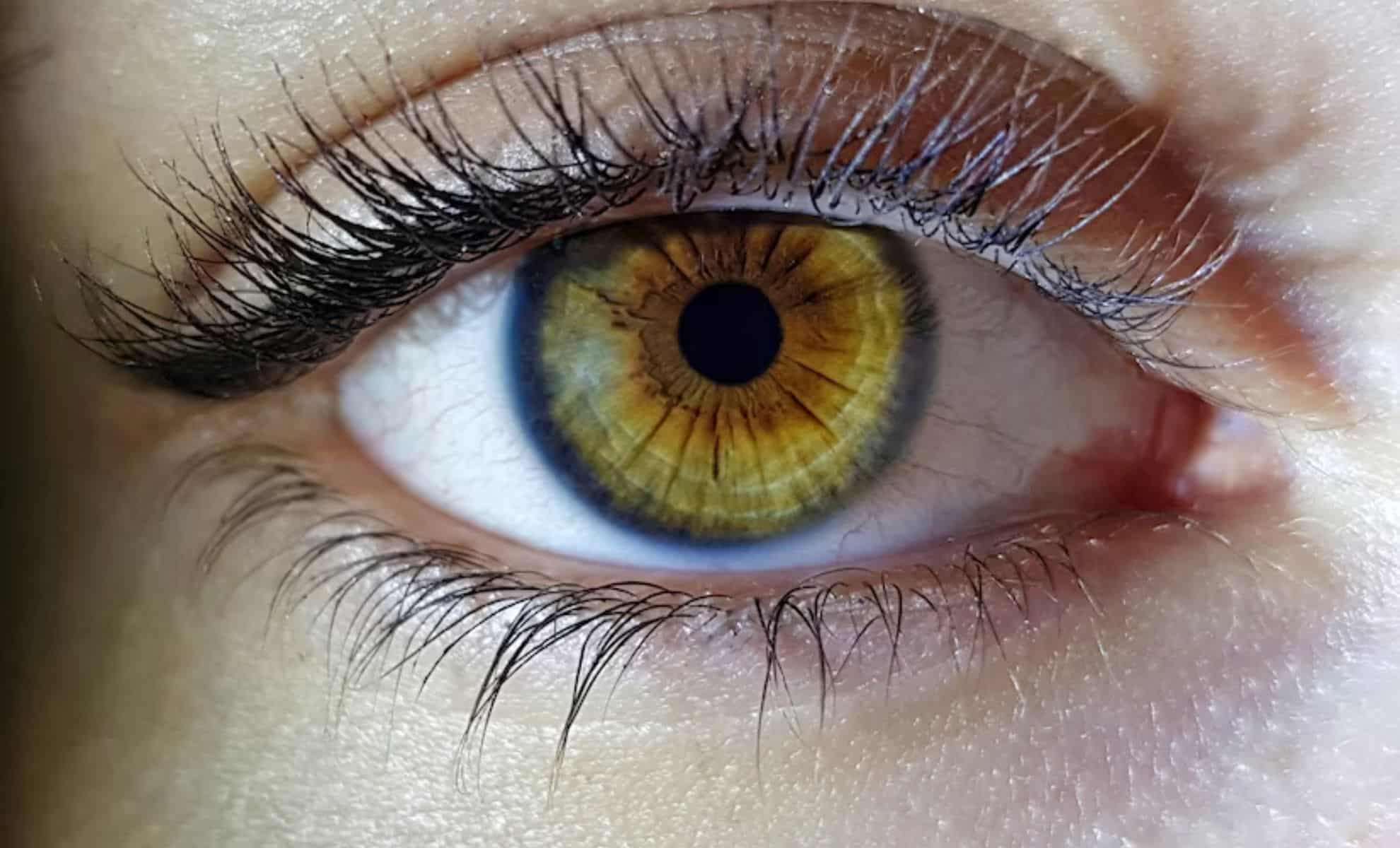 Scientists Reveal a Newly Discovered Color Beyond Human Experience 