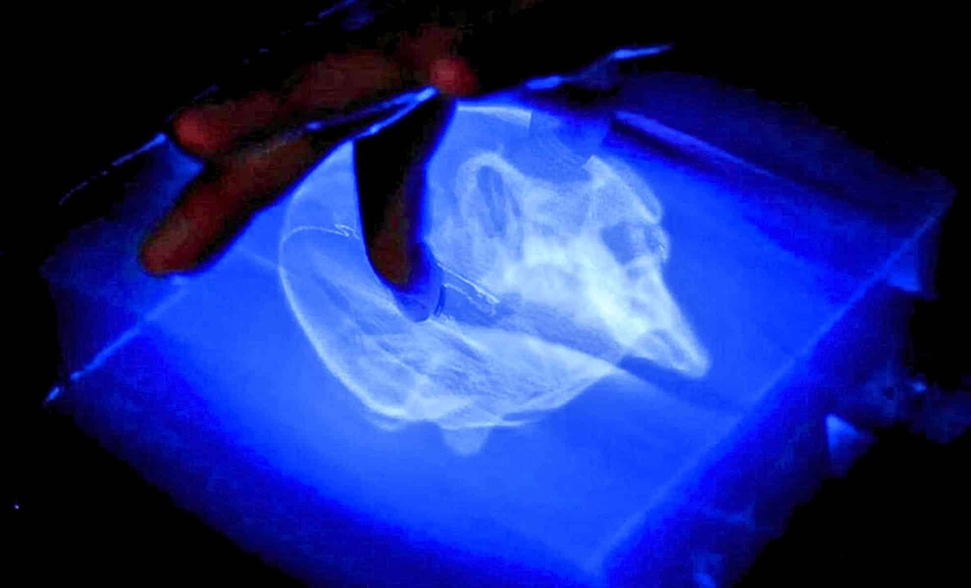 Revolutionary Touchable 3D Holograms Bring Virtual Objects to Life in Mid-Air 