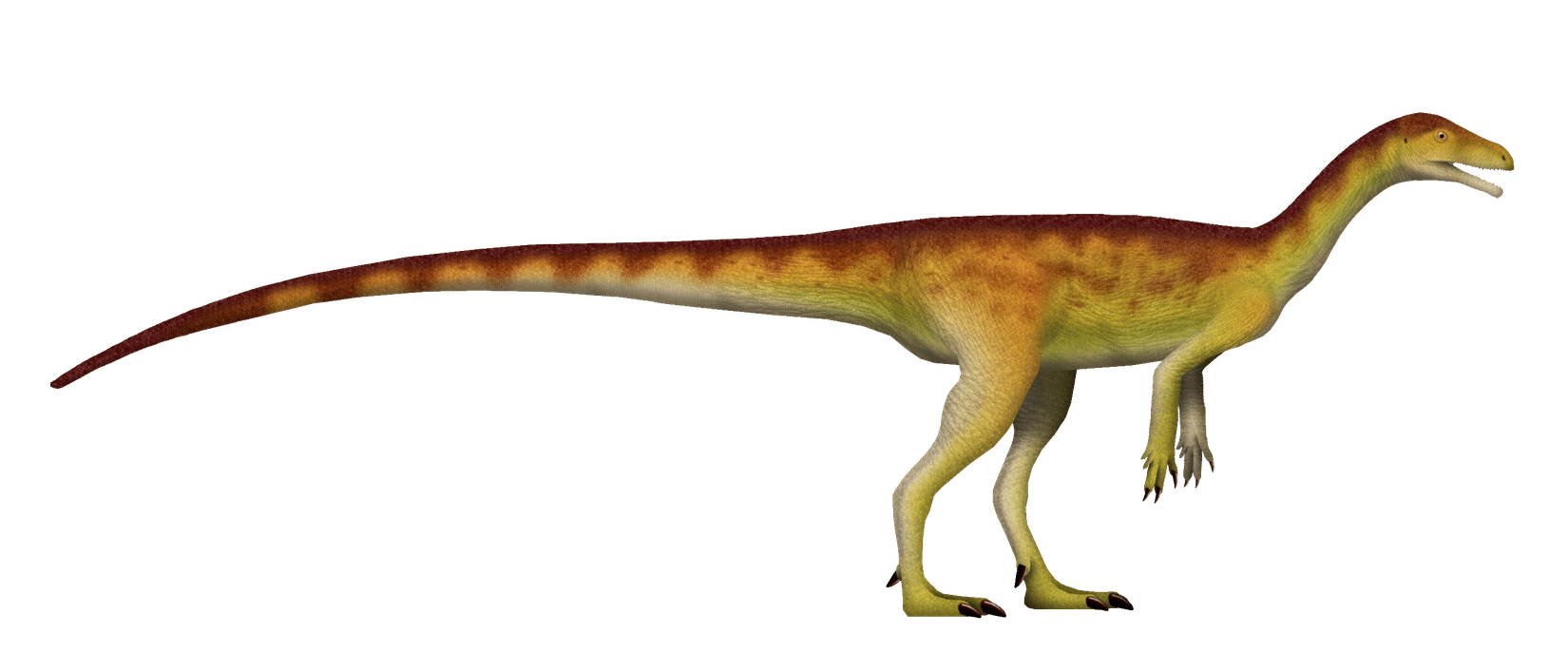Ahvaytum-a-sauropodomorph-known-from-the-Triassic-of-North-America-8814e957d7243ae47919aa8544e5d812.png