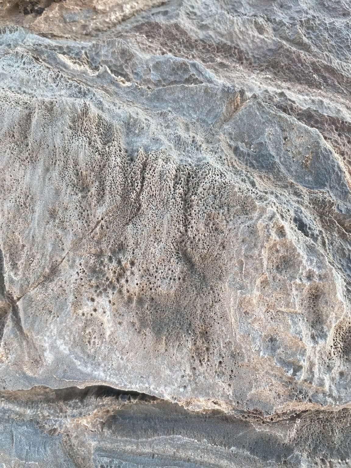 Top-view-of-an-outcrop-in-Namibia-showing-the-marble-penetrated-by-a-group-of-micro-burrows-b50c5e2f837b0108cab49bdccf7369e6.jpeg