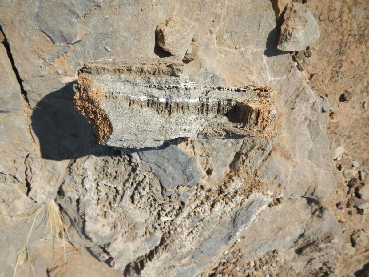 scientists-uncover-ancient-tunnels-beneath-the-earth-belonging-to-an-unknown-lifeform-8429ca89c7e0e6897111454f5fd7df76.jpeg