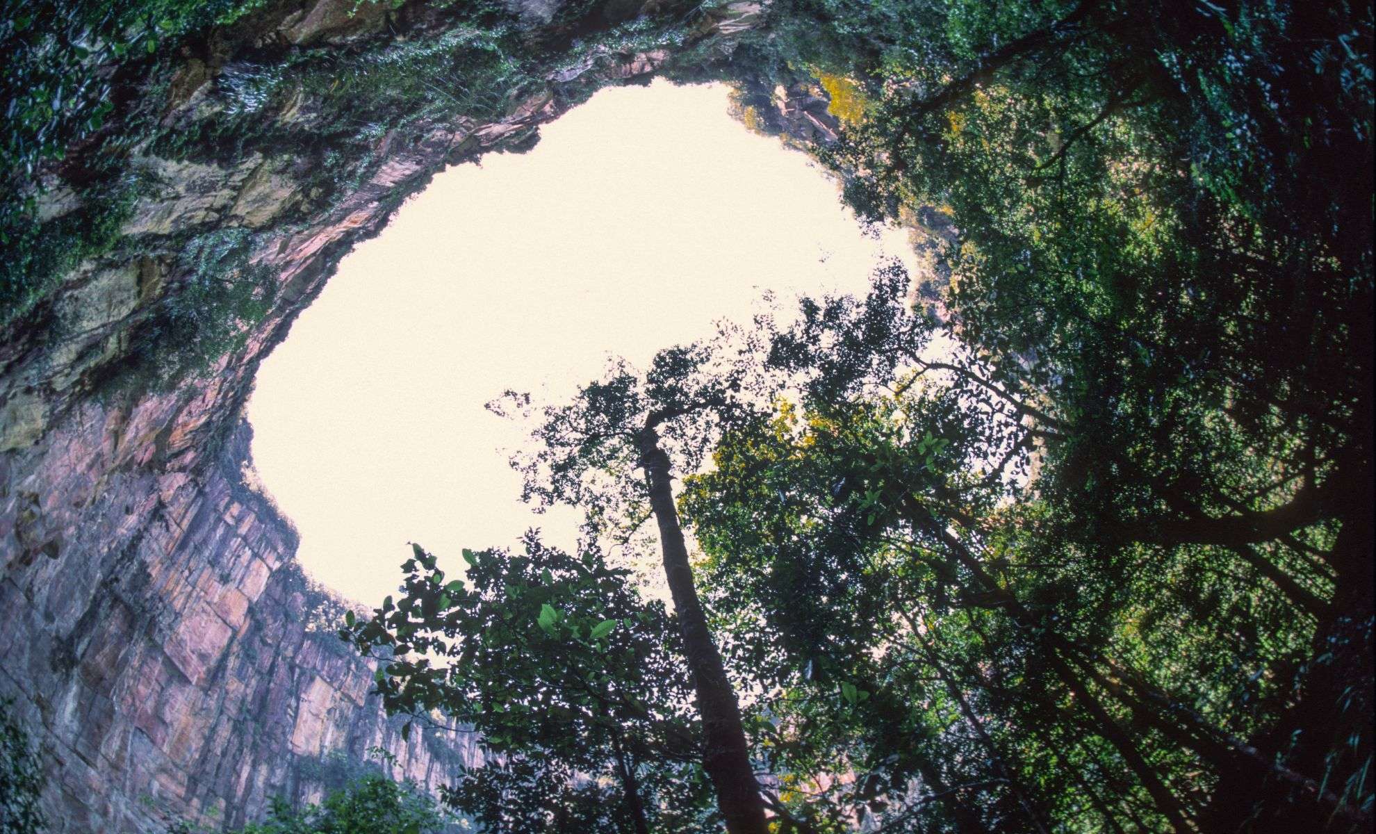 China’s 630-Foot Sinkhole Unveils Ancient Ecosystem From Dinosaur Era 