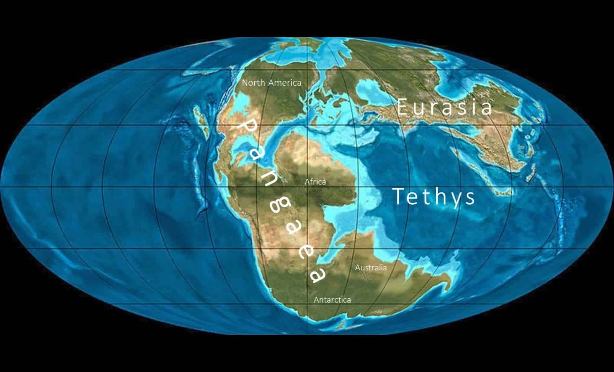 The Lost Tethys Seaway: How a Disappeared Ocean Reshaped Earth's Evolution 
