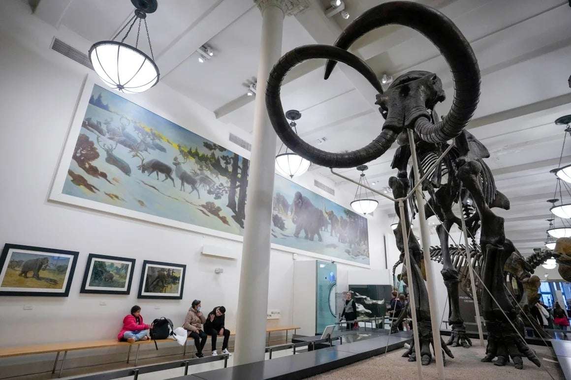 the-dodo-is-coming-back-followed-by-other-species-that-have-vanished-10646d1ea2fb20d6e7c73cbd0585fc39.jpeg