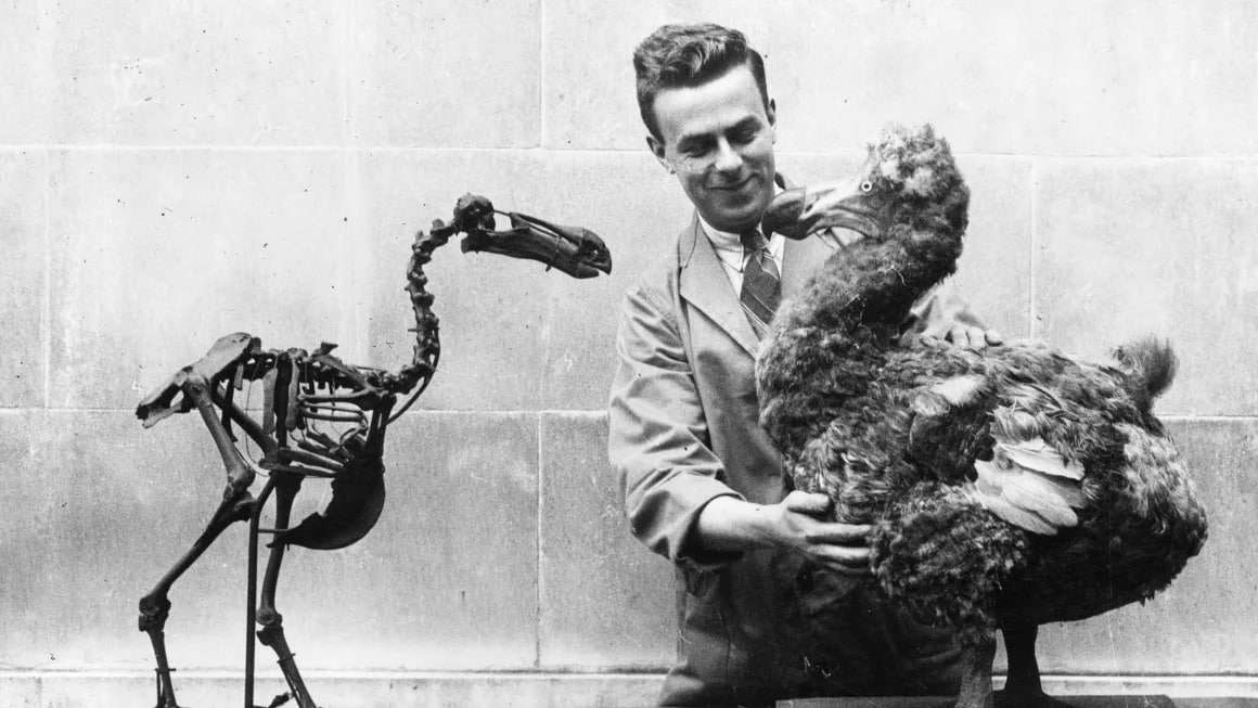 the-dodo-is-coming-back-followed-by-other-species-that-have-vanished-289c298a1e43a33e053c0138c7962b20.jpeg