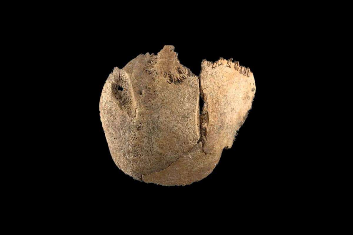 Many-of-the-bones-show-the-dead-suffered-fatal-injuries-including-this-deep-cut-in-a-skull-ee55a28b397ba4824e5b9b282bd75fa1.jpg
