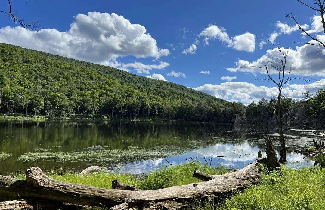 Echo-Lake-05533c5255bd0ea745d152a9a9df40be.jpeg