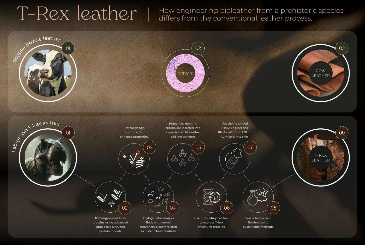 T-Rex-Leather-bd97c89f89ef5407660a68eb73a082d8.jpeg