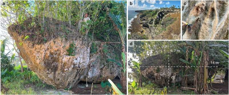 Credit-Marine-Biology-e278b2f3c4418ff54ad003993f050689.jpg