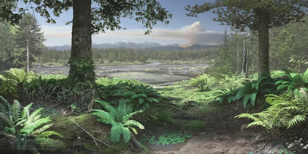 image-11-aaa3ef42ff98a5e724925c59aa87ced7.png