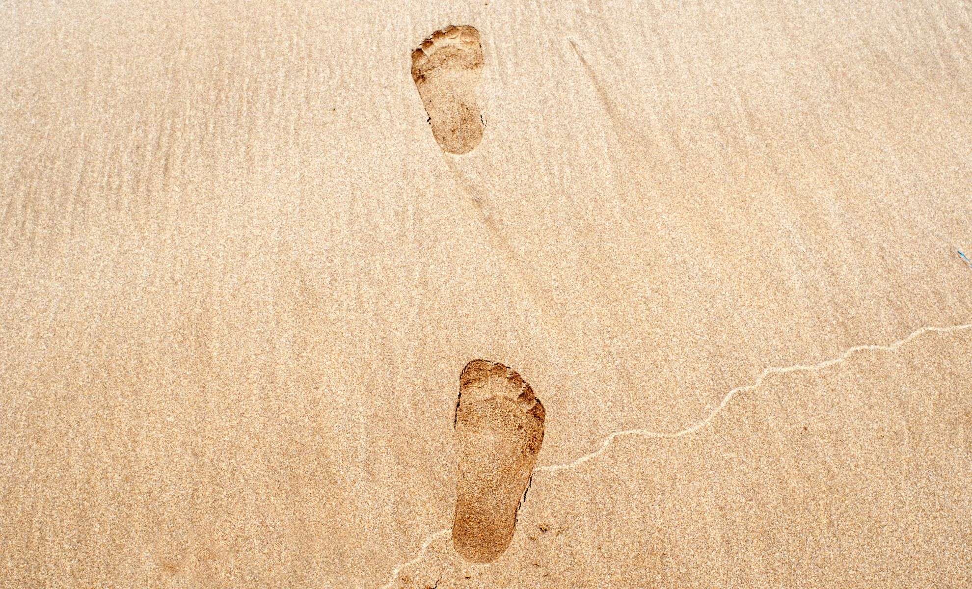 115,000-Year-Old Human Footprints Discovered in Saudi Arabia's Desert 