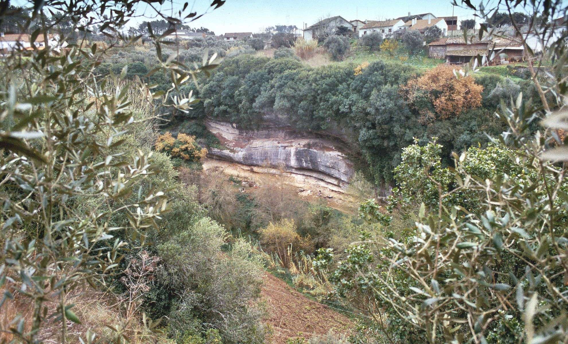 28,000-Year-Old Child Unearths Evidence of Early Human-Neanderthal Interbreeding 