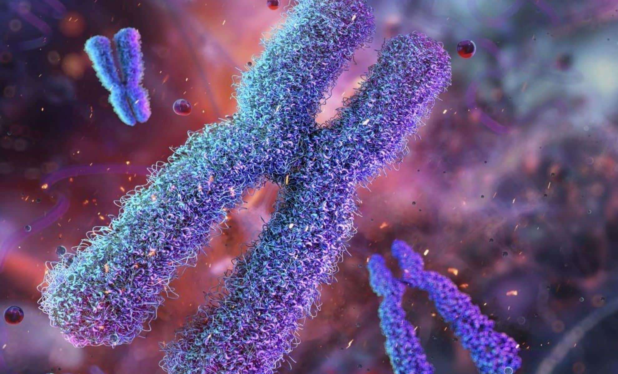 Unlocking Lifespan Secrets from Birth: The Telomere Connection 