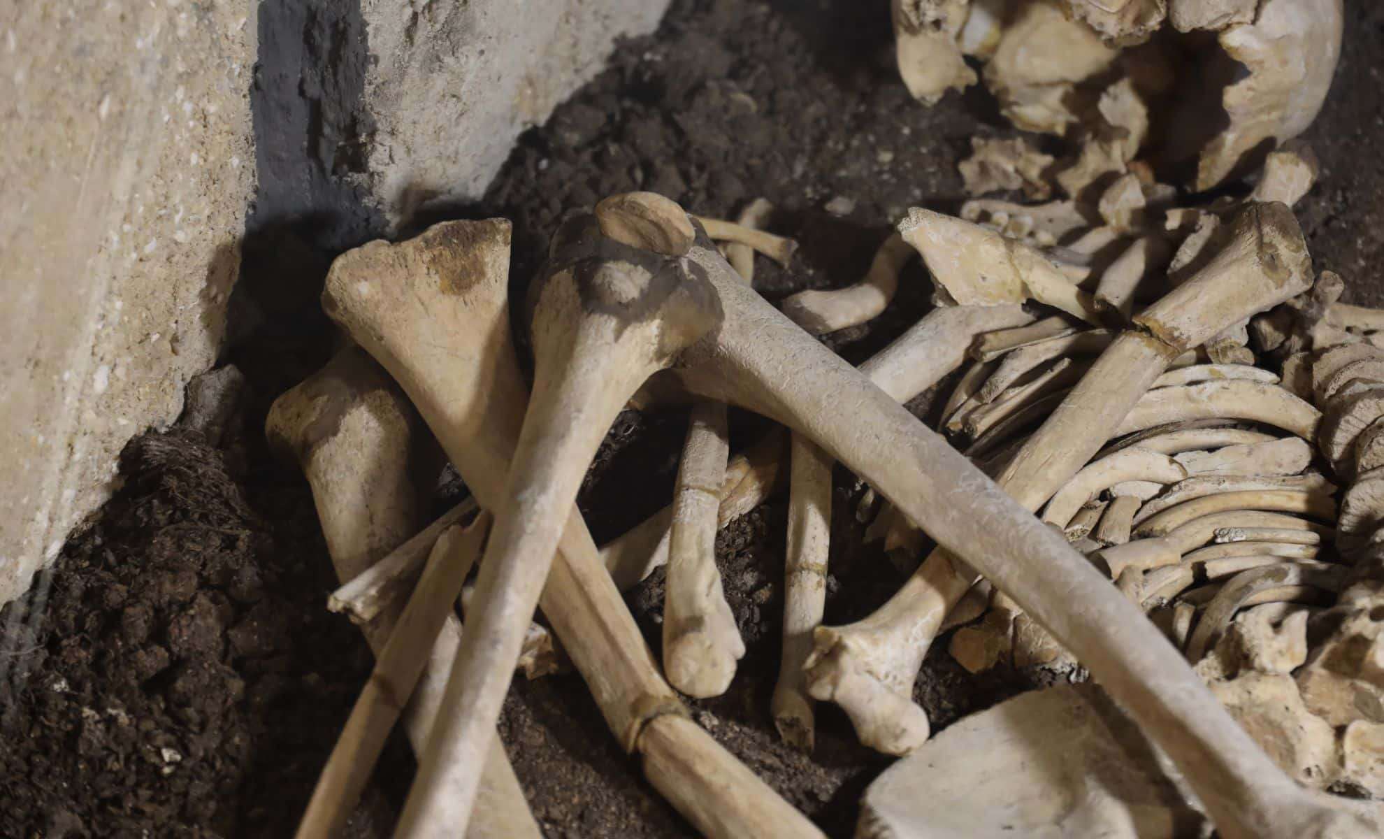 Wall Collapse at Historic Portuguese Church Reveals a Dozen Ancient Skeletons 