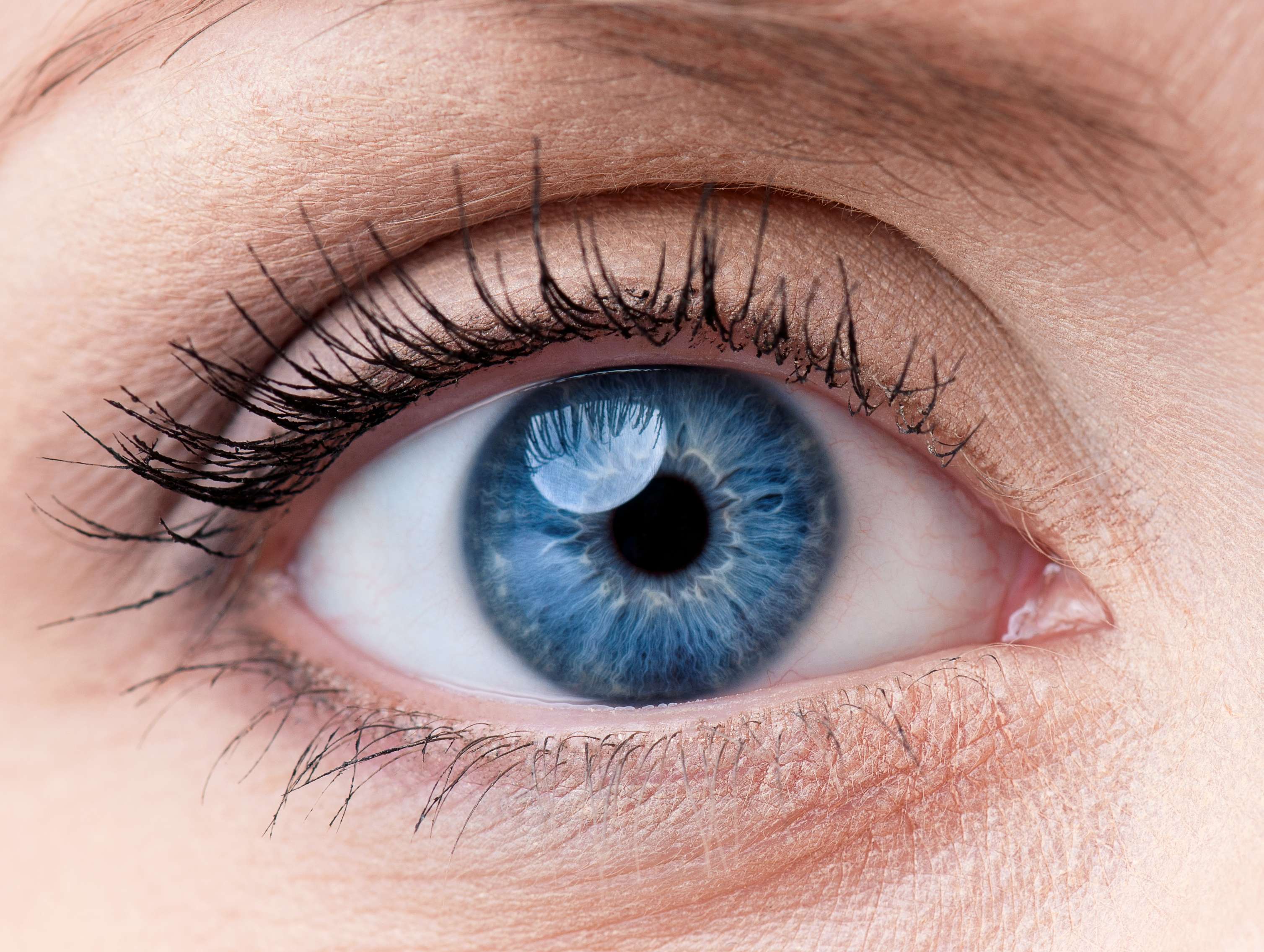 Tracing Blue Eyes Back to a Single Ancient Ancestor 