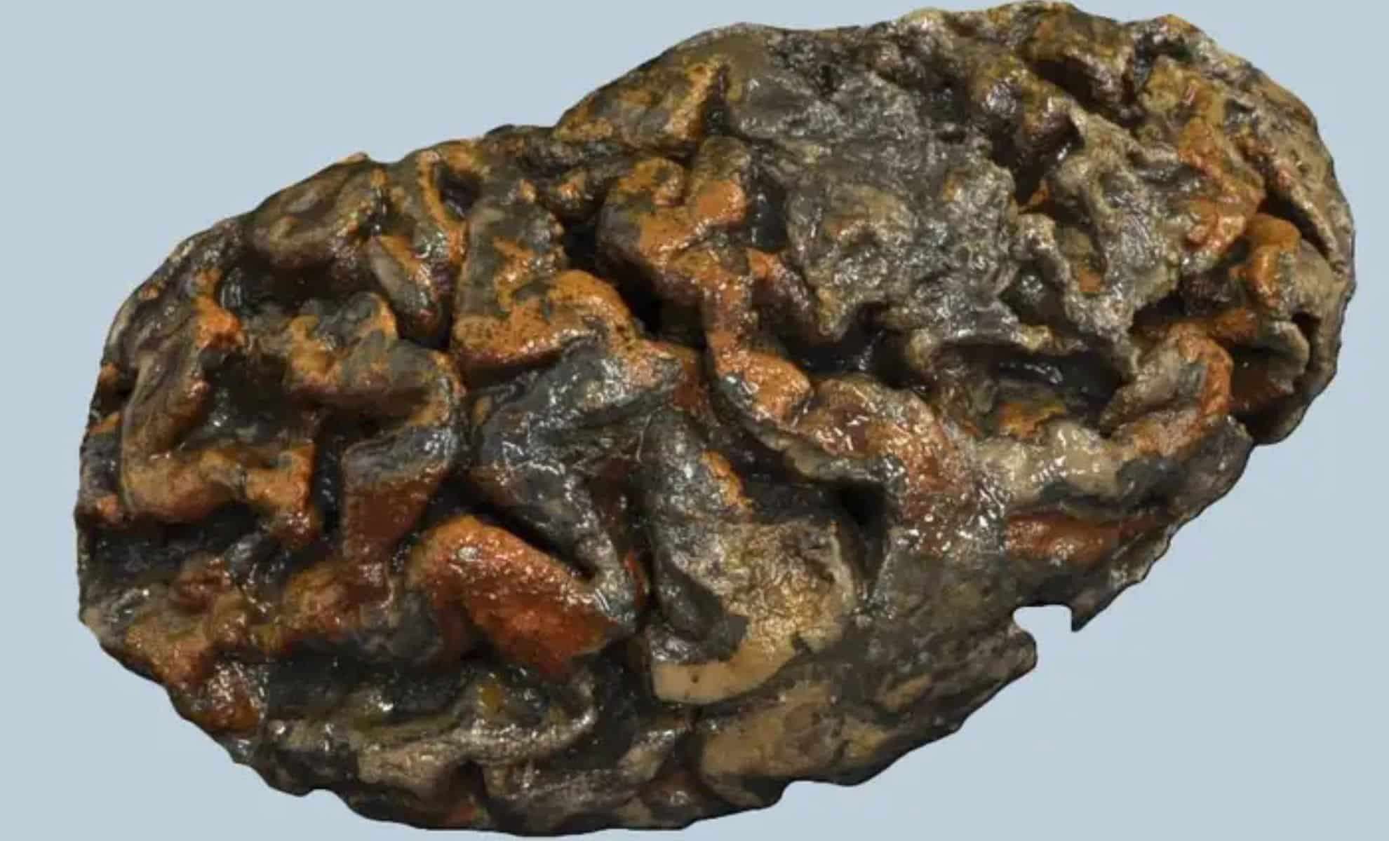 Unlocking Proteins from Ancient Soft Tissues Reveals New Evolutionary Insights 