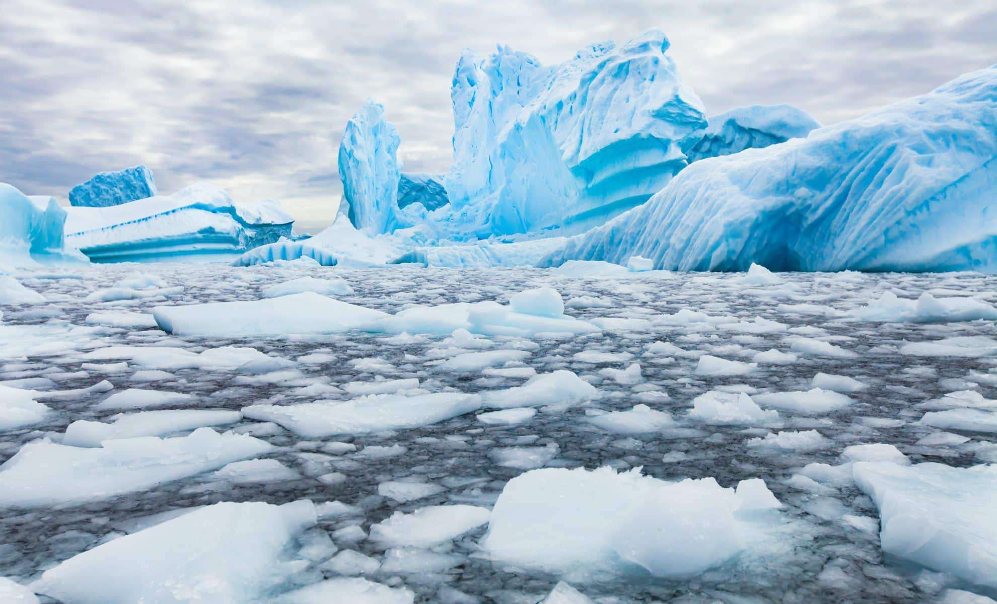 Antarctica’s Ice Sheet Shows Unprecedented Growth After Years of Decline 