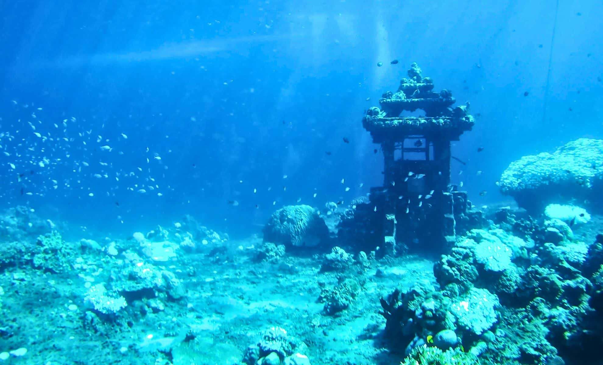 Underwater Discovery Reveals 140,000-Year-Old Ancient World with Giant Creatures and Early Humans 