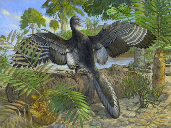Chicago-Archaeopteryx-72082431632b363e43bf2af75dde6d0f.jpg